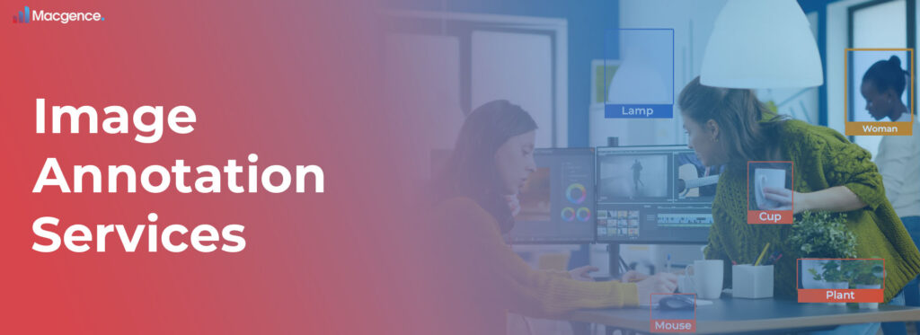 Image Annotation Services
