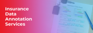 Use of Insurance Data Annotation Services for AI/ML Models